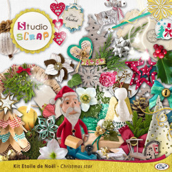 Kit « Etoile de Noël  »