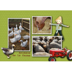 Kit « Week-end champêtre »