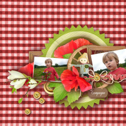 Kit « Week-end champêtre »