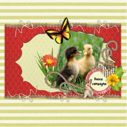 Kit « Week-end champêtre »