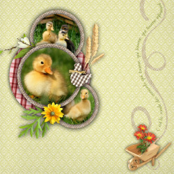 Kit « Week-end champêtre »