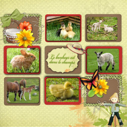 Kit « Week-end champêtre »