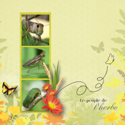 Kit « Week-end champêtre »