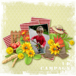 Kit « Week-end champêtre »