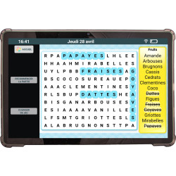 Facilotab Classic - WiFi - 128GB - Android 14 - Simplified Tablet for Seniors
