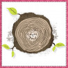 copy of test