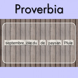 Paquete de 13 juegos