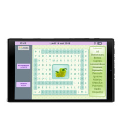 copy of Facilotab L Rubis - WiFi / 4G - 64 GB - Android 10 - Simplified tablet for Seniors