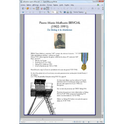 copy of test