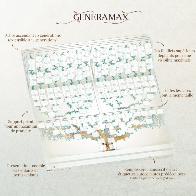 GeneraMax - arbre généalogique vierge GeneraMax - arbre généalogique vierge