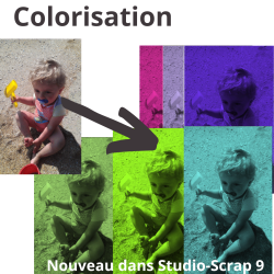 Studio-Scrap 9 - Passion - Pass 1 an - Logiciel + Accès à 200 kits graphique