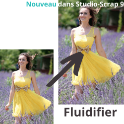 -50% Studio-Scrap 9 - Passion - Pass 1 an sans abonnement - Logiciel et accès à +213 kits graphique - Inclut les nouveaux kits