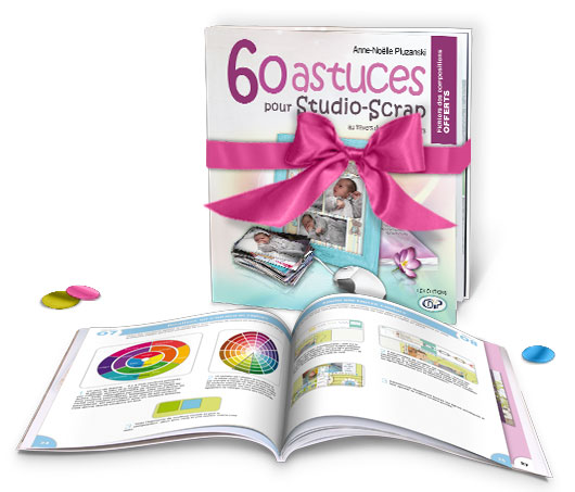 60 astuces pour Studio-Scrap