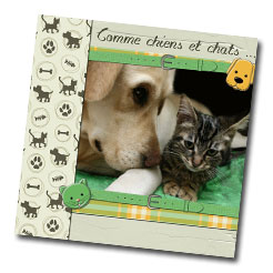 Comme chiens et chats