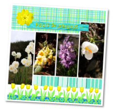 Réalisation avec le Kit de Scrap Printemps