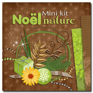 Noël nature