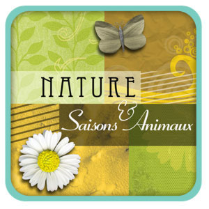 Kit de digiscrapbooking sur le thème nature, saisons et animaux