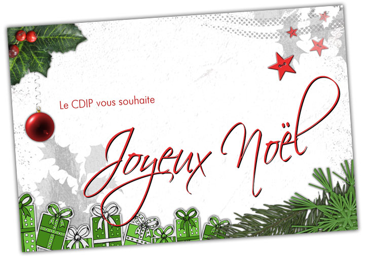 Le CDIP vous souhaite Joyeux Noël !