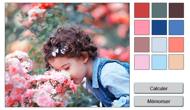 Sélecteur de couleurs
