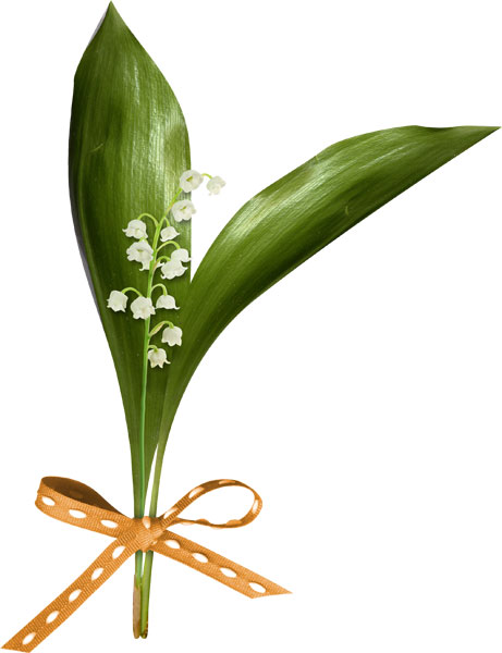 Embellissement Brin de muguet