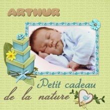 Faire-part de naissance