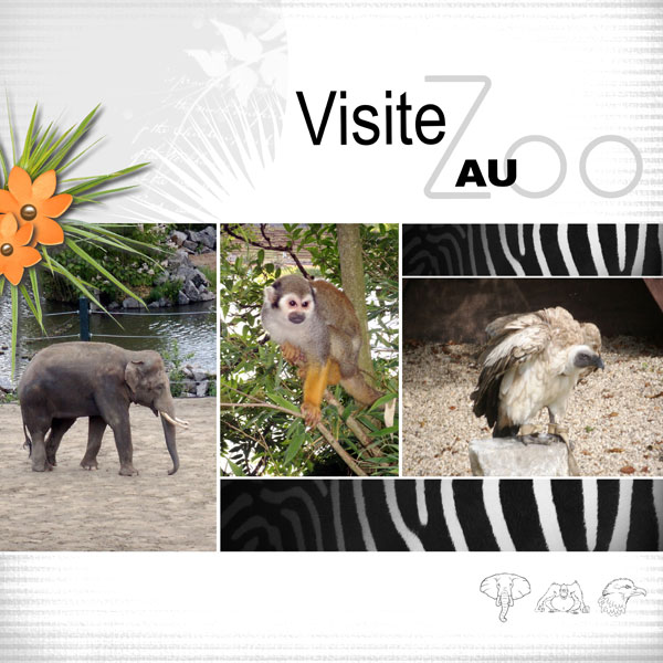 Visite au Zoo