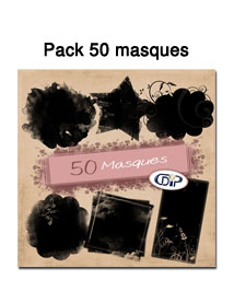 Pack 50 masques