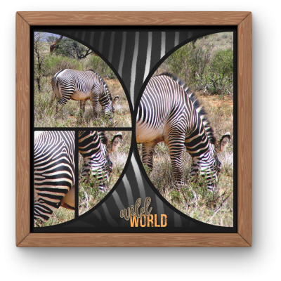 cadre-zebre Cadre - Tirage photo